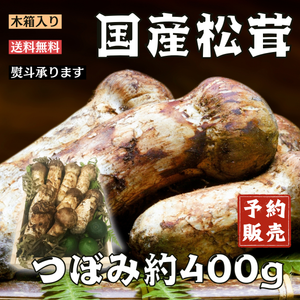 【予約販売】国産松茸 
岩手県産 
つぼみ　木箱入り
約400g 6～12本　※すだち付