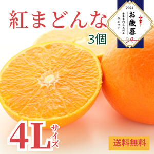 〈お歳暮〉
【4Lサイズ】
愛媛県産 
紅まどんな3個詰めのギフト