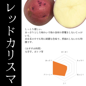 北海道剣淵町産
『レッドカリスマ』約5kg【受注販売】