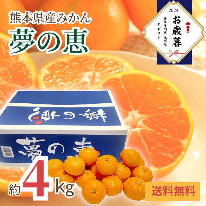 〈お歳暮〉
熊本県産 
夢の恵みかん 
産地箱（約4kg、S～Lサイズ）