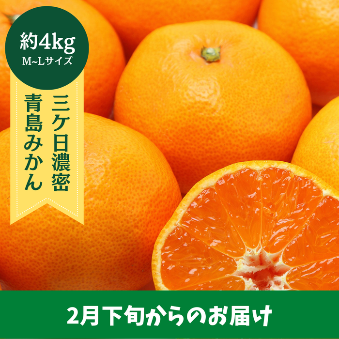 〈ギフト〉
【2月下旬からのお届け】
静岡県産 
三ケ日濃蜜青島みかん 
約4kg（M～Lサイズ）
【予約販売】