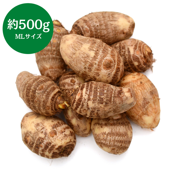 千葉県産他 
里芋 
約500g(MLサイズ)