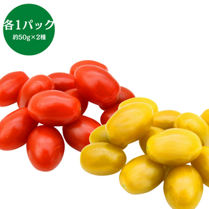 静岡県産他　アメーラルビンズ　赤黄　各1パック（約50g×2）