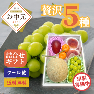 【早割】夏果実の贅沢フルーツギフト【5種】〈お中元〉