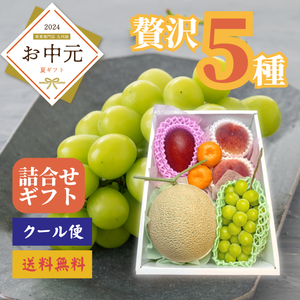 夏果実の贅沢フルーツギフト【5種】〈お中元〉