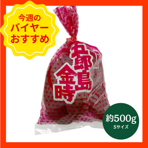 【10/19からおすすめ商品】五郎島金時　約500g(Sサイズ)　石川県産