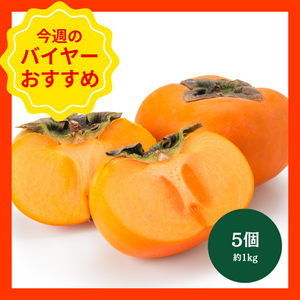 【10/19からおすすめ商品】おけさ柿　5個(約1kg)　新潟県産