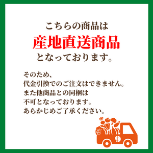 【産地直送】宮崎県都城市産 近間さんが作った朝穫れ「味来（みらい）コーン」 約5㎏（13～15本入り）【送料無料】