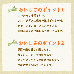 〈産地直送〉
【美味セット】北海道産グリーンアスパラガスギフト 
M～2Lサイズ 約1kg（訳あり）【予約販売】