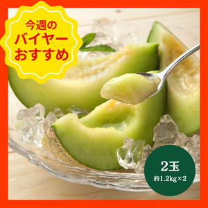 【9/7からおすすめ商品】アールスメロン　2玉(約1.2㎏×2)　茨城県産他