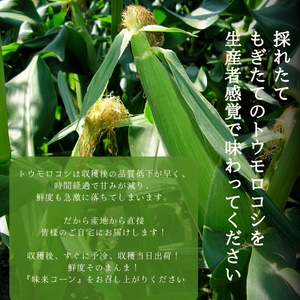 【産地直送】宮崎県都城市産 近間さんが作った朝穫れ「味来（みらい）コーン」 約5㎏（13～15本入り）【送料無料】