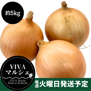 北海道剣淵町産
『玉ねぎ』約5kg【受注販売】