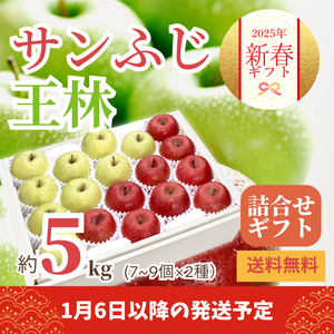 〈新春ギフト〉
青森県産他 
サンふじと王林のギフト
（計約5kg、7～9個×2種）