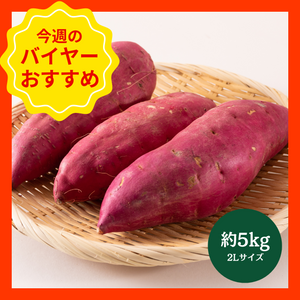 【10/19からおすすめ商品】■箱売り■紅あずま　約5kg(2Lサイズ)　千葉県産他