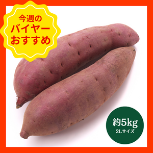 【10/19からおすすめ商品】■箱売り■紅はるか　約5kg(2Lサイズ)　千葉県産他