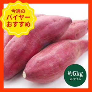 【10/19からおすすめ商品】■箱売り■鳴門金時　約5kg(2Lサイズ)　徳島県産