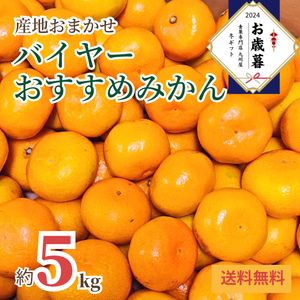 〈お歳暮〉
産地はおまかせ！
バイヤーおすすめみかん
（約5kg、S～Lサイズ）