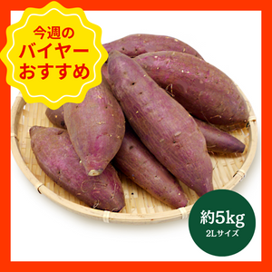 【10/19からおすすめ商品】■箱売り■シルクスイート　約5kg(2Lサイズ)　千葉県産他