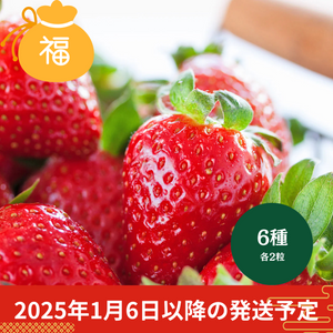 〈2025年福袋〉6種のいちご食べ比べボックス【予約販売】