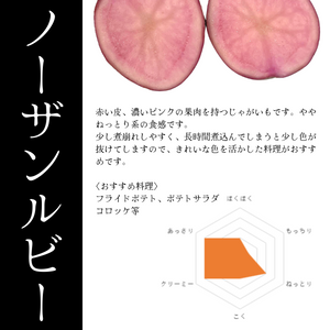 北海道剣淵町産
『ノーザンルビー』約400g【受注販売】