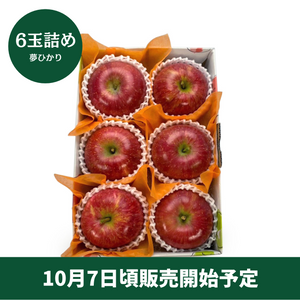 ◆10月7日頃販売開始予定◆〈ギフト〉
【糖度13度以上】青森県産 ひろさきふじ「夢ひかり」6玉詰め