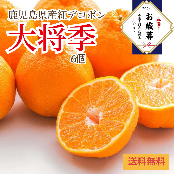 〈お歳暮〉
鹿児島県産 
紅デコポン「大将季」のギフト
（6個）