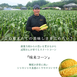 【産地直送】宮崎県都城市産 近間さんが作った朝穫れ「味来（みらい）コーン」 約5㎏（13～15本入り）【送料無料】