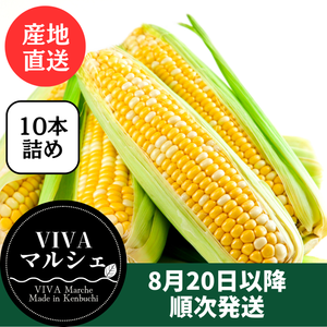 スイートコーン『ドルチェドリーム』10本詰め　北海道剣淵町産【産地直送】