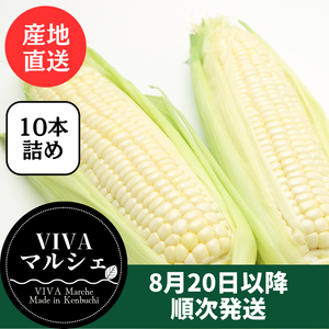 スイートコーン『ホイップコーン』10本詰め　北海道剣淵町産【産地直送】