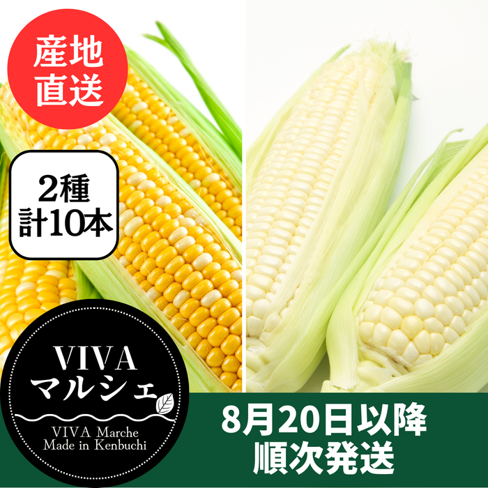 とうもろこし2色10本セット
（ドルチェドリーム・ホイップコーン　各5本）
北海道剣淵町産【産地直送】