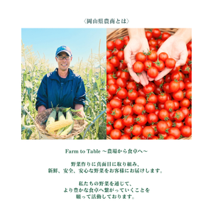 【産地直送】岡山県農商の「きびトマト」 約1㎏【送料無料】