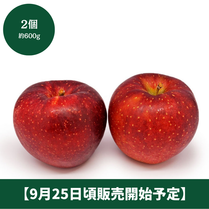 ◆9月25日頃販売開始予定◆
岩手県産 
紅いわて 
2個　約600g