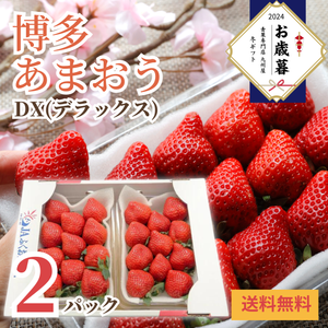 〈お歳暮〉
福岡県産 
博多あまおうDX
産地箱　2パック