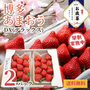 【早割】〈お歳暮〉
福岡県産 
博多あまおうDX
産地箱　2パック