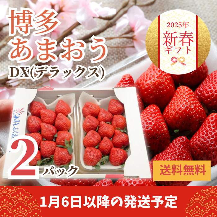 〈新春ギフト〉
福岡県産 
博多あまおうDX
産地箱　2パック