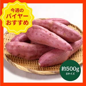 【10/19からおすすめ商品】鳴門金時　約500g(Sサイズ)　徳島県産