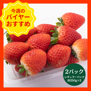 【1/18からおすすめ商品】とちあいか　2パック(約250g×2レギュラーパック)　栃木県産