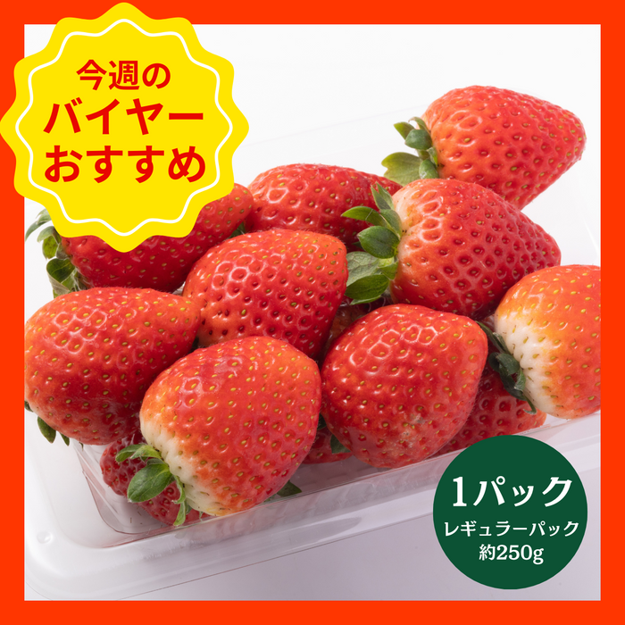 【1/18からおすすめ商品】とちあいか　1パック(約250g　レギュラーパック)　栃木県産