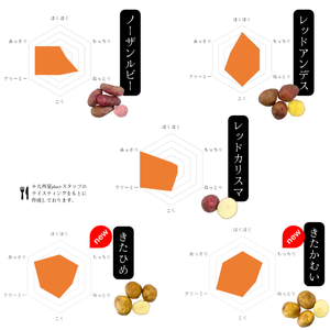 【選べる】人気No.1『デストロイヤー』とお好きなじゃがいも2種 北海道剣淵町産【受注販売】