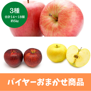 【バイヤーおまかせ】
長野県産他
りんご3種セット　14～18個　約5㎏