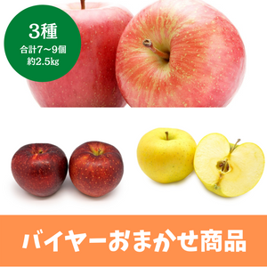 【バイヤーおまかせ】
長野県産他
りんご3種セット　7～9個　約2.5㎏