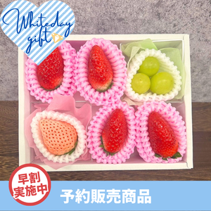 【早割】〈WDギフト〉淡雪いちご楽しむプチギフト【予約販売】