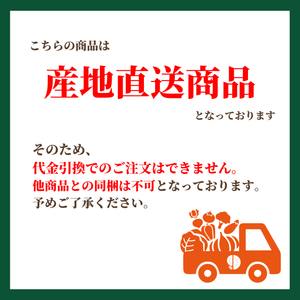 とうもろこし2色10本セット
（ドルチェドリーム・ホイップコーン　各5本）
北海道剣淵町産【産地直送】