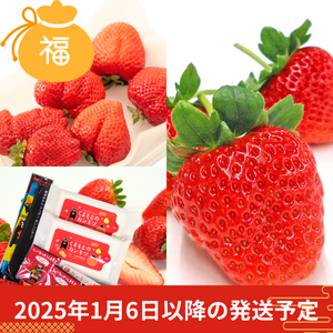 〈2025年福袋〉
いちご福箱
【予約販売】