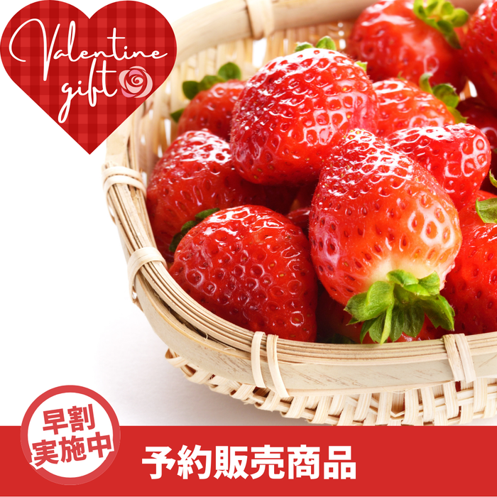 【早割】〈ギフト〉
奈良県産 
古都華 
1パック 約250g【予約販売】