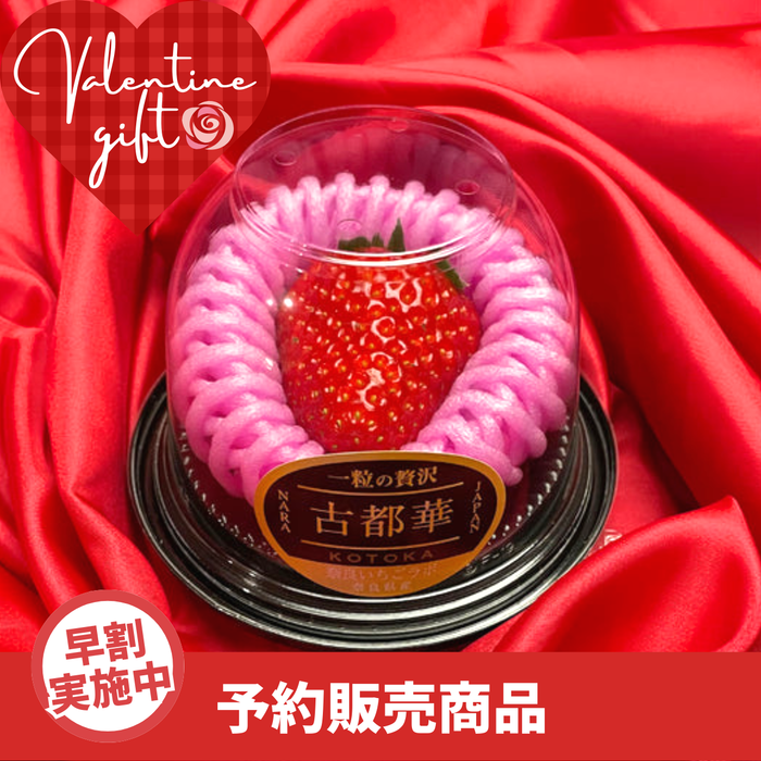 【早割】〈ギフト〉
奈良県産 
古都華 
1粒 約40g【予約販売】【入荷次第発送】