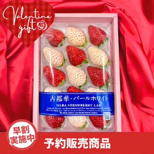 【早割】〈ギフト〉
奈良県産 
紅白苺 
1パック 約250g【予約販売】