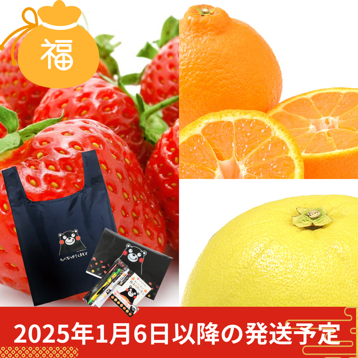 〈2025年福袋〉
熊本くだモン福袋
【予約販売】