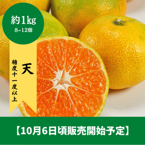 ◆10月6日販売開始予定◆
【糖度11度以上】
和歌山県産 
天みかん 8～12個 約1㎏ (S～Lサイズ）