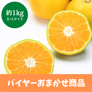 おまかせみかん 
約1kg（S～Lサイズ）